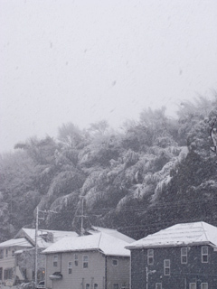R0022778.jpg